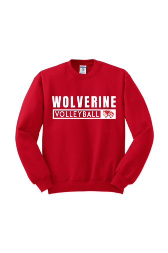 2023 VOLLEYBALL CREWNECK