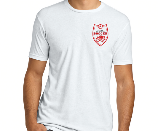 2026 Girls Soccer Next Level Apparel ®  Adult CVC Tee. NL6210