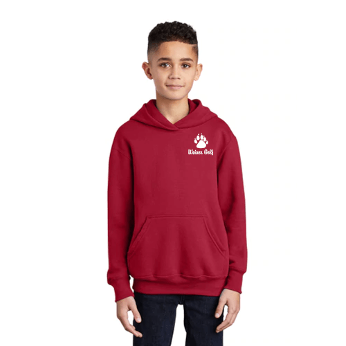 PC Youth Hoodie